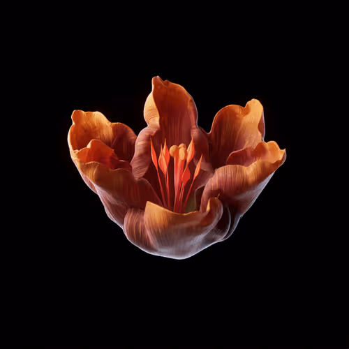 Heterosis