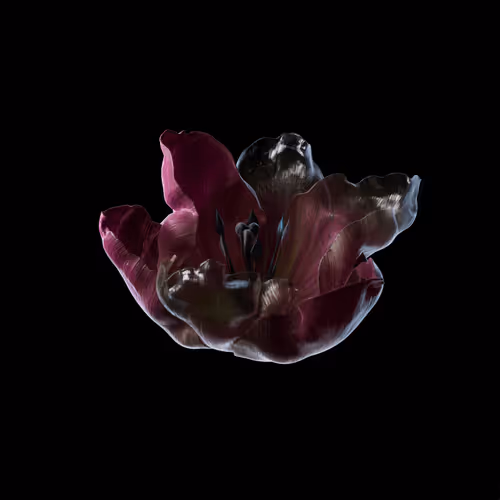 Heterosis