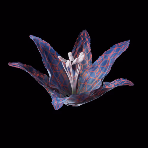 Heterosis