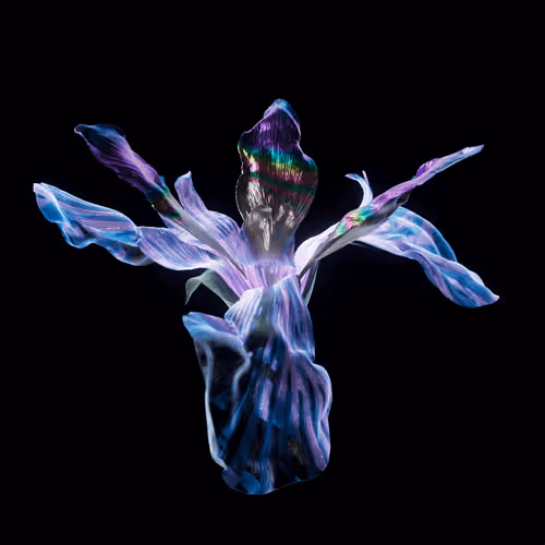 Heterosis