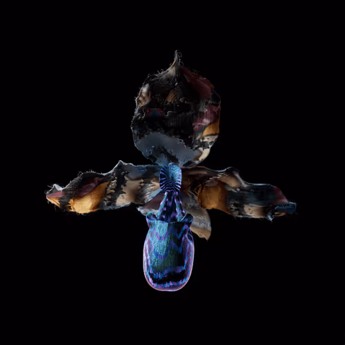 Heterosis