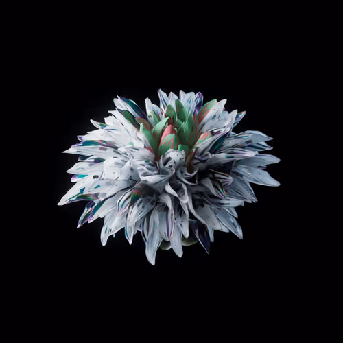 Heterosis