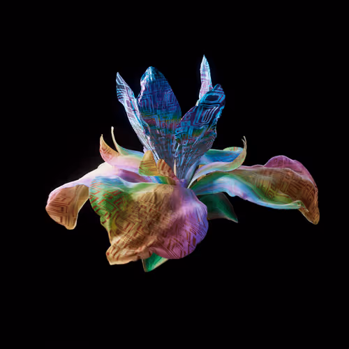 Invariable Waverings #584