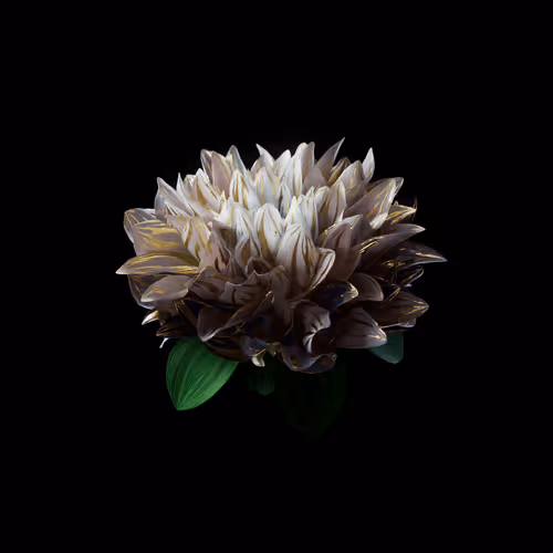 Heterosis