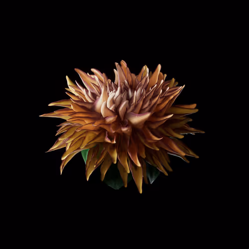Heterosis