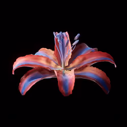 All Elegant Treasures #101