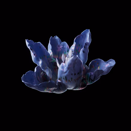Heterosis
