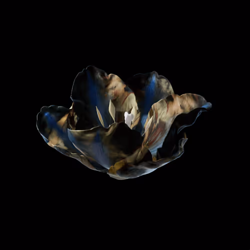 Heterosis