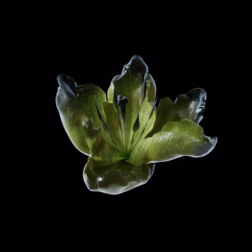 Heterosis