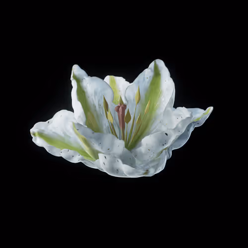 Heterosis