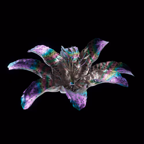 Heterosis