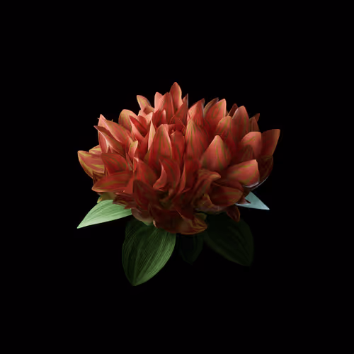 Heterosis