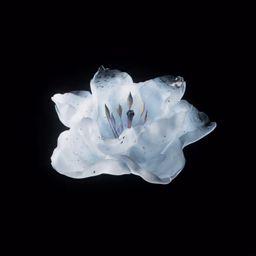 Heterosis