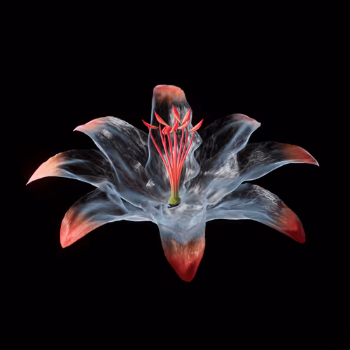 Heterosis