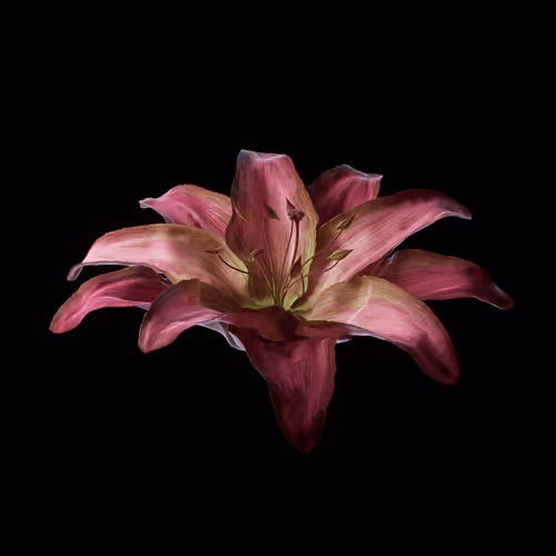 Heterosis