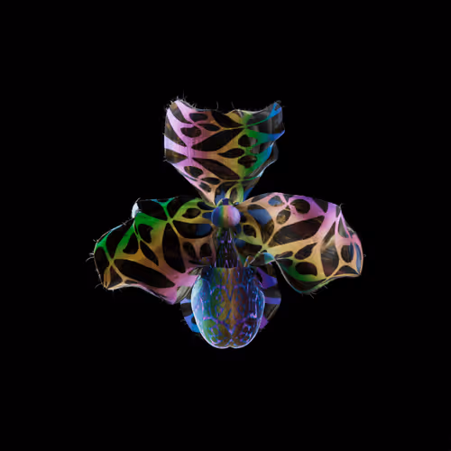 Heterosis