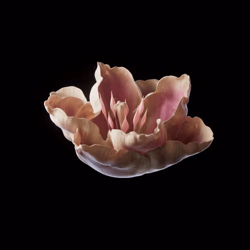 Heterosis