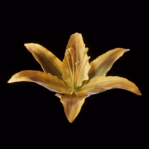 Heterosis