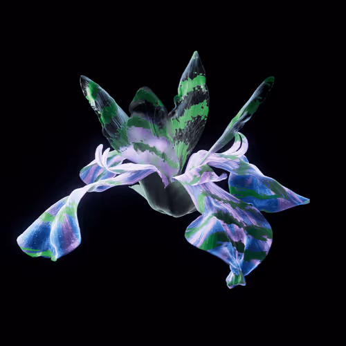 Heterosis