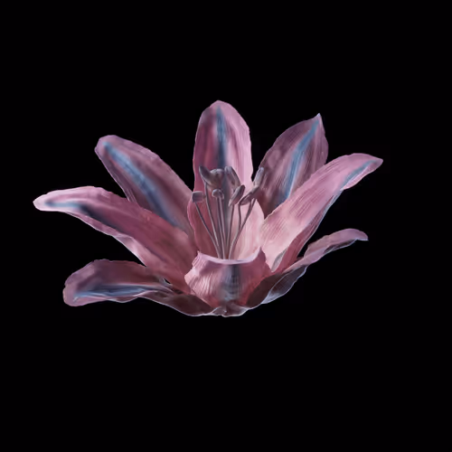 Heterosis