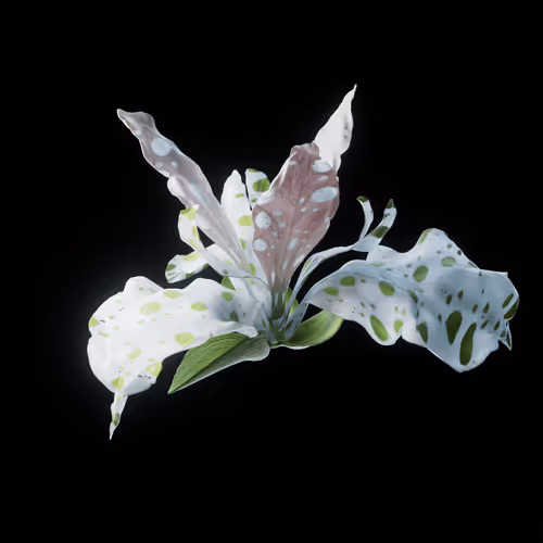 Heterosis