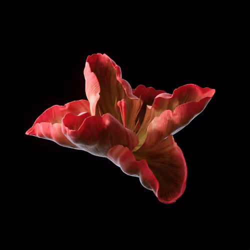 Heterosis