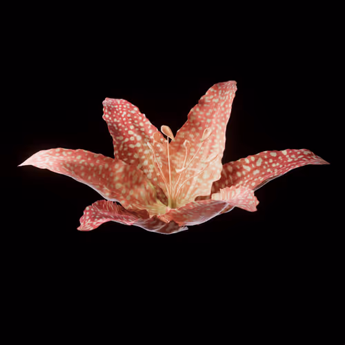 Heterosis