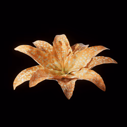 Heterosis