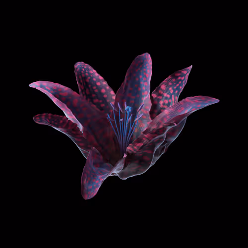Heterosis