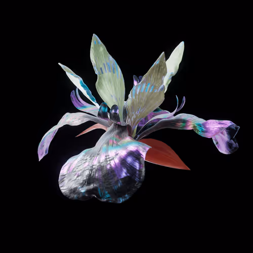 Heterosis