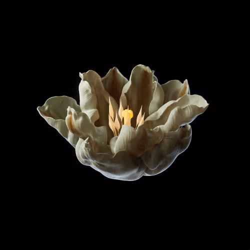 Heterosis