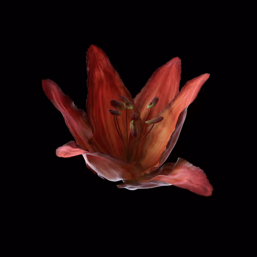 Heterosis