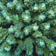 Underthesea