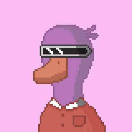 5DUCKs #30