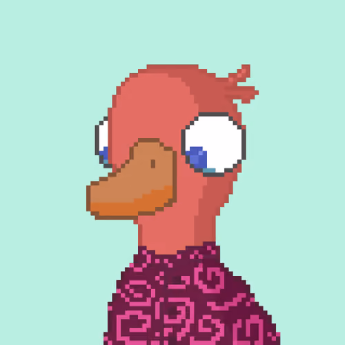 5DUCKs #43