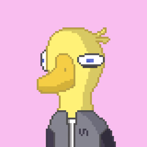 5DUCKs #22