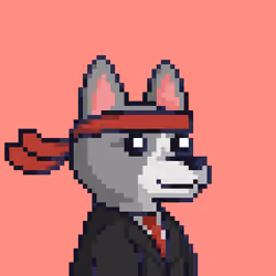 Emotional Support Dogs #496