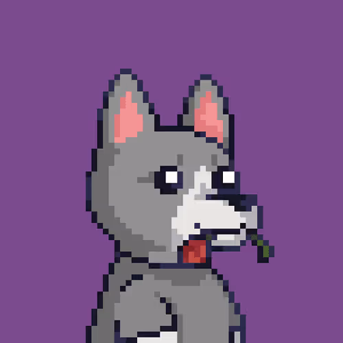 Emotional Support Dogs 3