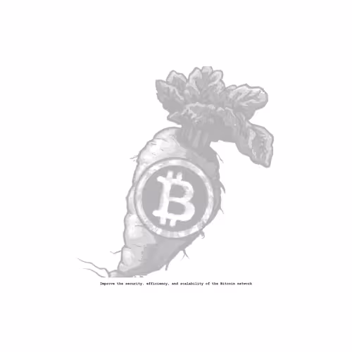 Bitcoin Artifact #48