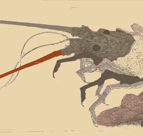 Inkbrush Lobster