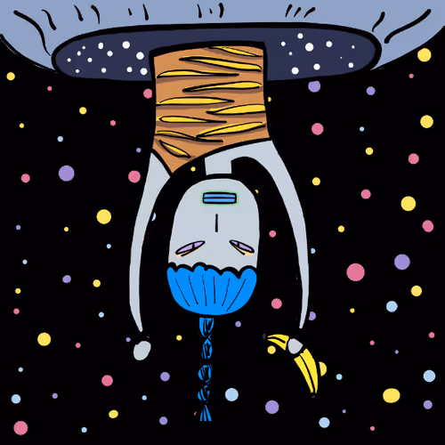 Space Passenger 1