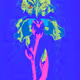 ioArt 
