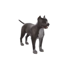Pitbull
