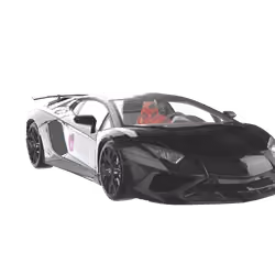 Polka Lambo