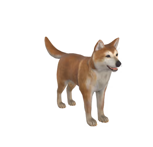 Akita Dog