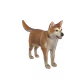 8208