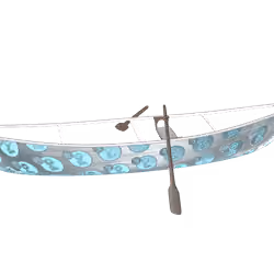 Polka Canoe