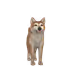 8885