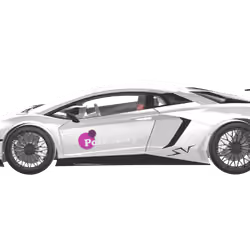 Polka Lambo