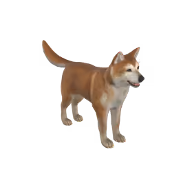 Akita Dog